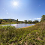 4 Woolshed Creek RD, Plainland QLD 4341