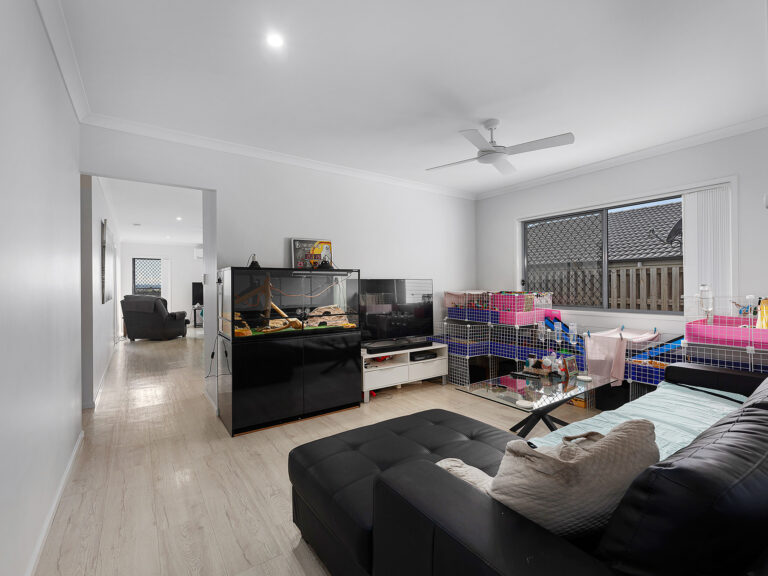 21 Pioneer Street, Redbank Plains, QLD 4301
