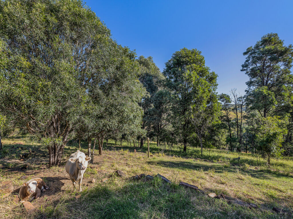 116 Annette Road, Lowood, QLD 4311