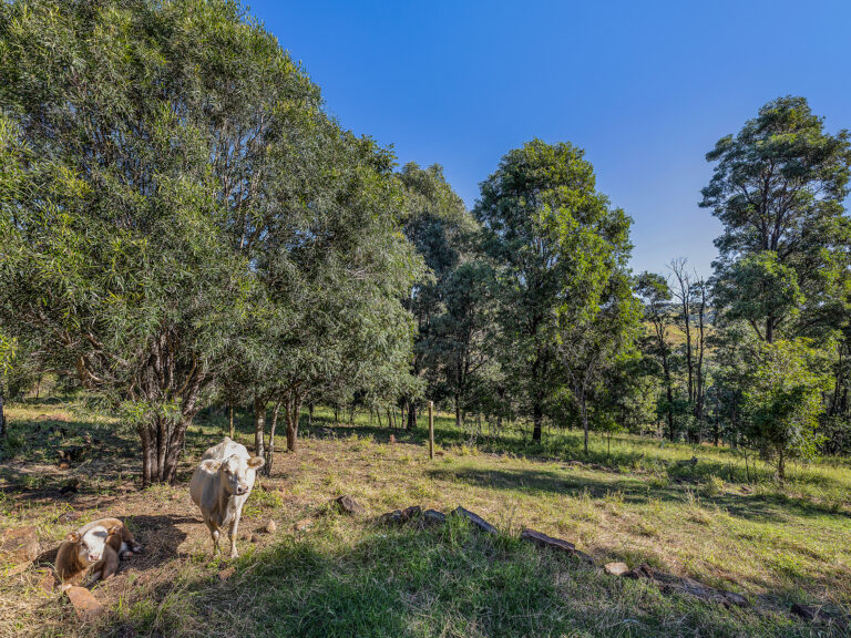116 Annette Road, Lowood, QLD 4311