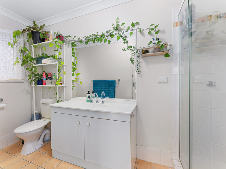 86 Coventina Crescent, Springfield Lakes, QLD 4300