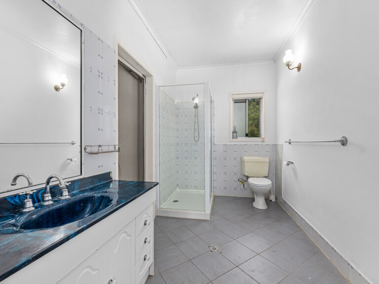 19 Henderson Street, Redbank, QLD 4301