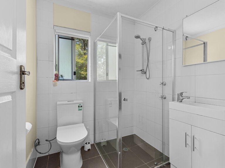 19 Henderson Street, Redbank, QLD 4301
