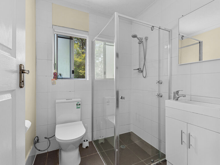 19 Henderson Street, Redbank, QLD 4301
