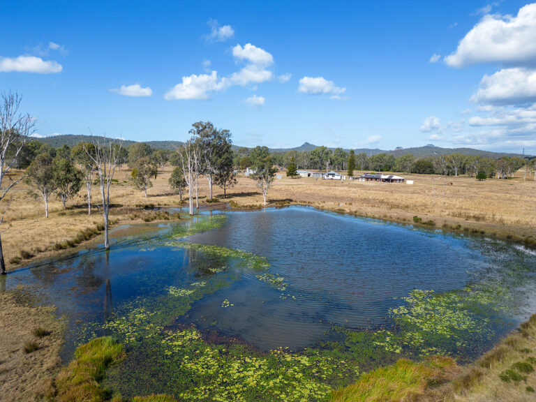 41 Carmichaels Road, Purga, QLD 4306