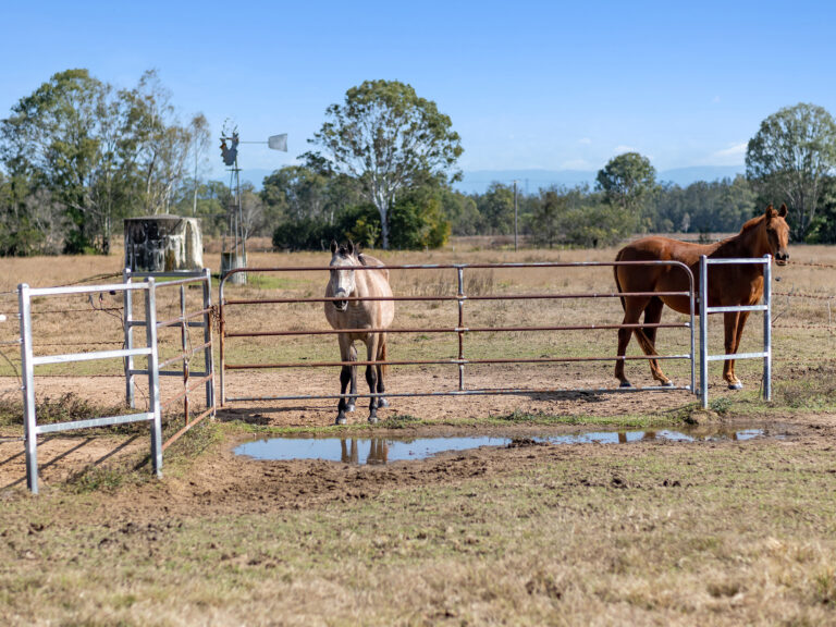 41 Carmichaels Road, Purga, QLD 4306