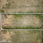 Residential-South Ripley-QLD-R2-3543327