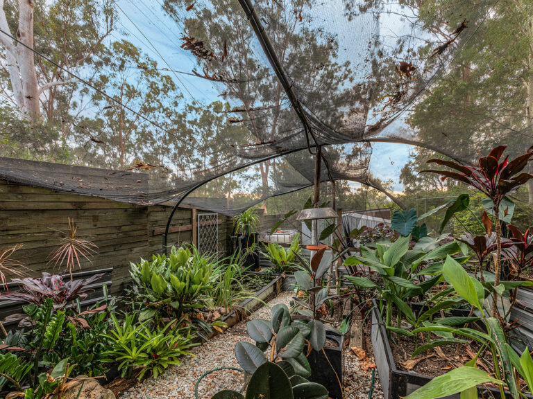 House-Karana Downs-QLD-R2-3560242