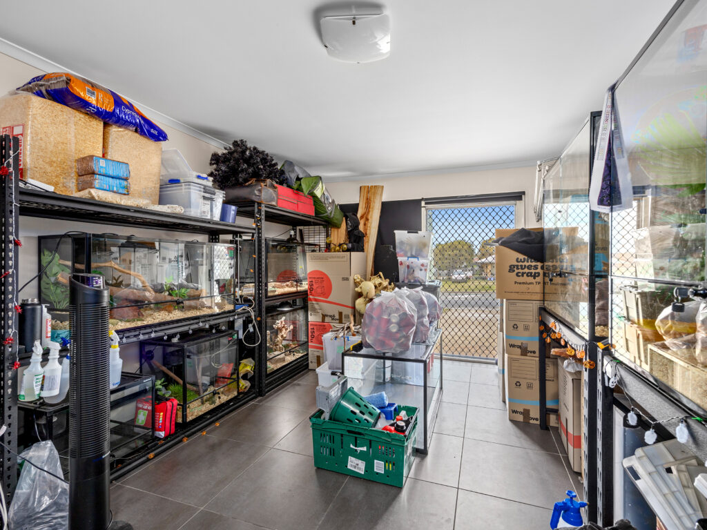 House-Raceview-QLD-R2-3824135