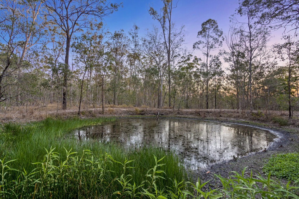 House-Greenbank-QLD-R2-3843971