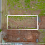 6 Paradise Close, Deebing Heights, QLD 4306