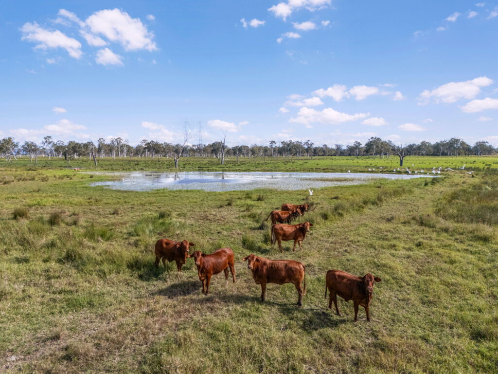 809-827 Ipswich Boonah Road, Purga, QLD 4306