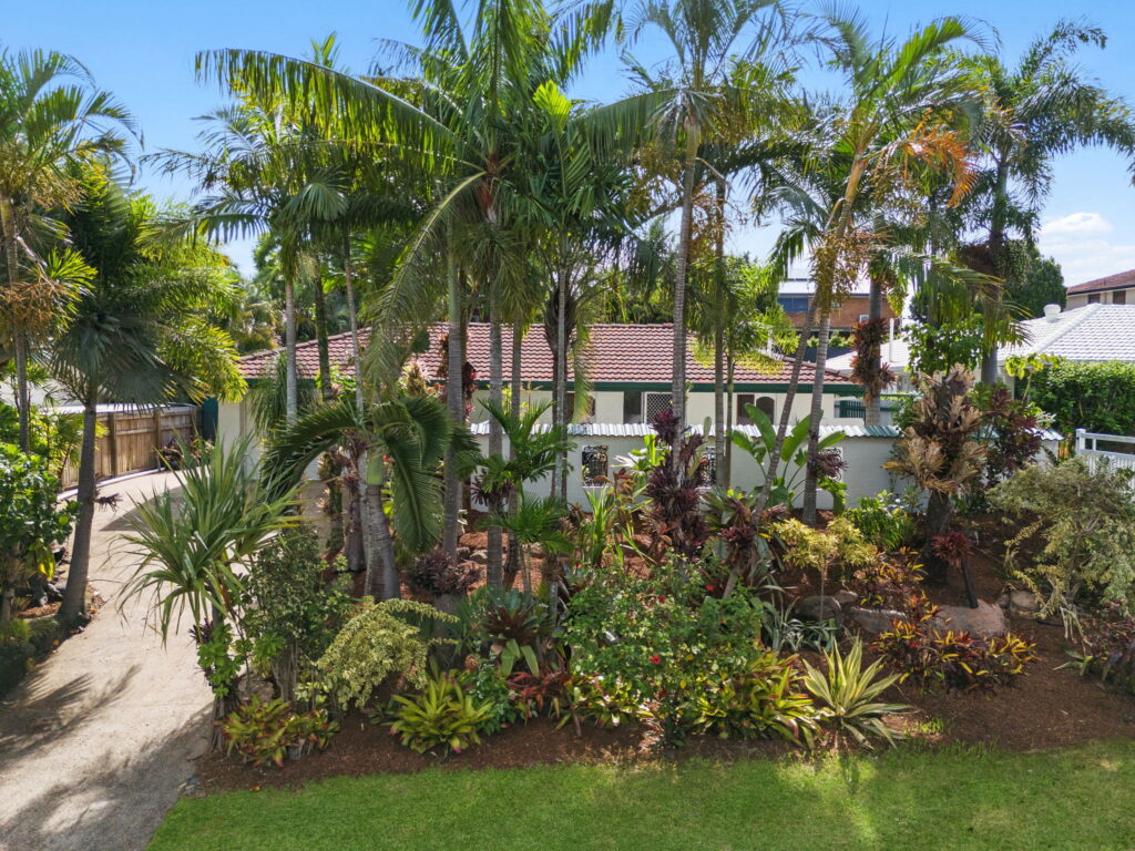 43 Sirocco Street, Jamboree Heights QLD 4074