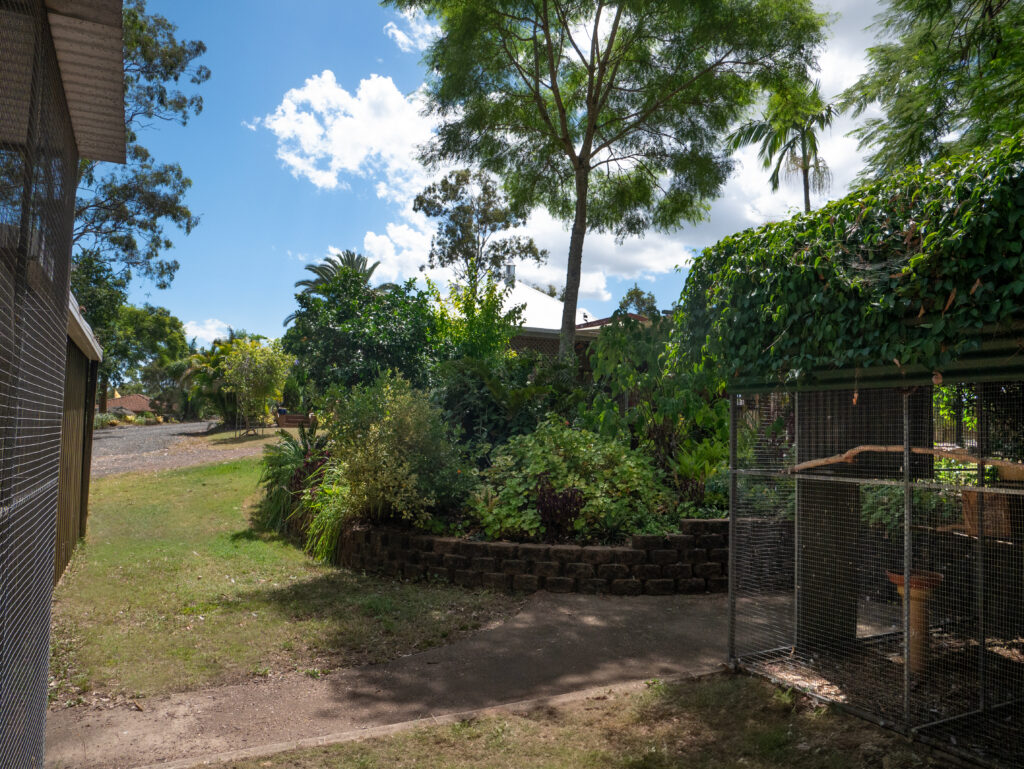 38 Leonard Street, Yamanto, QLD 4305