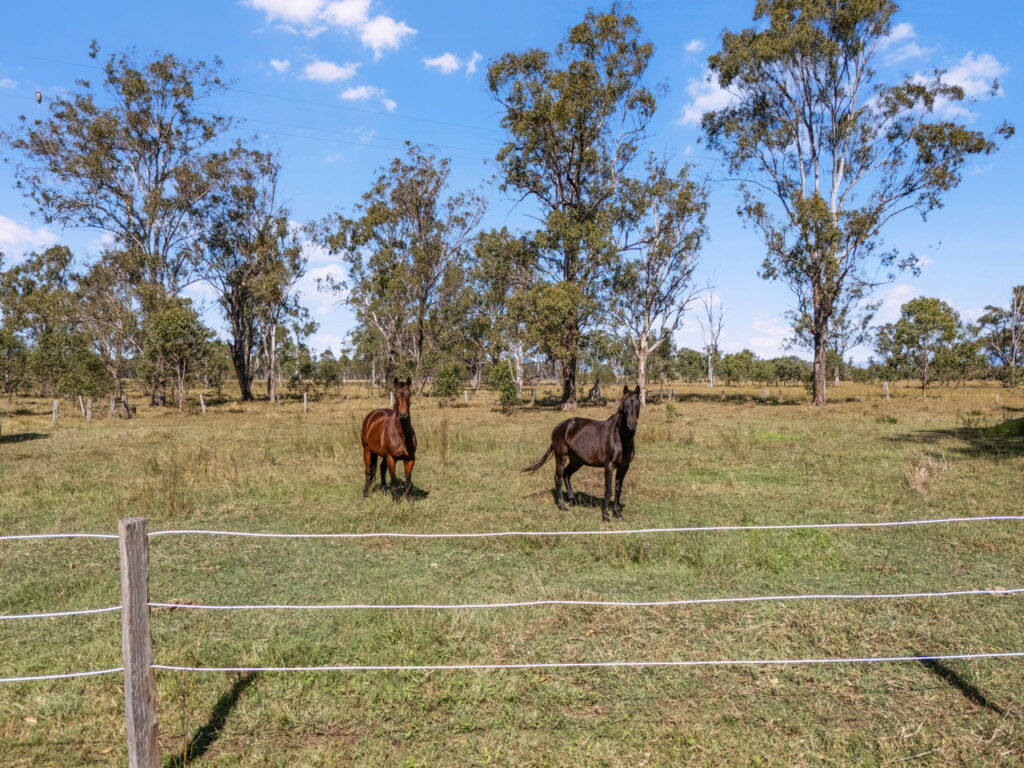 430 Rosewood-Warrill View Road, Rosewood, QLD 4340