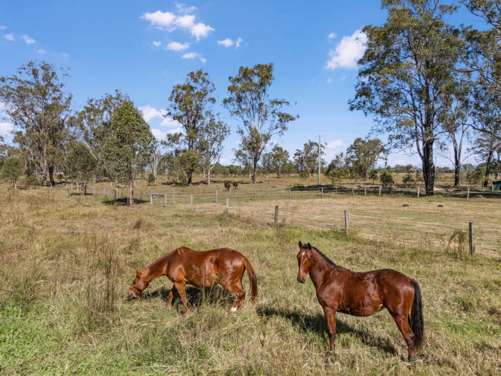 430 Rosewood-Warrill View Road, Rosewood, QLD 4340