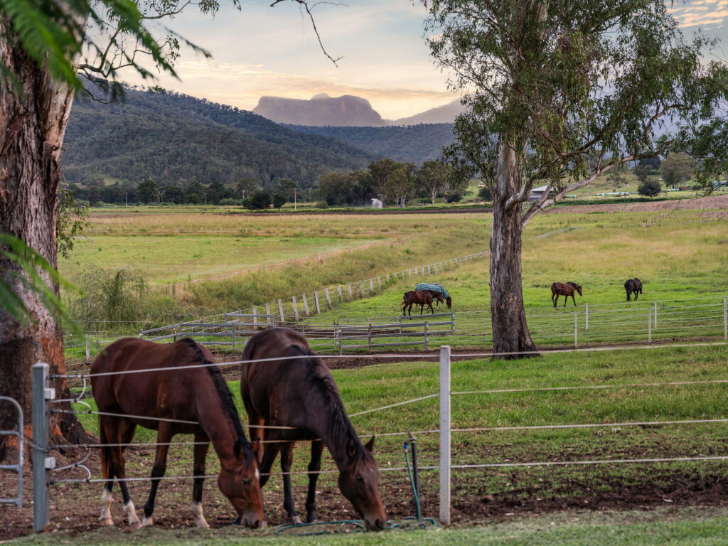 269 Mulgowie Road, Townson, QLD 4341