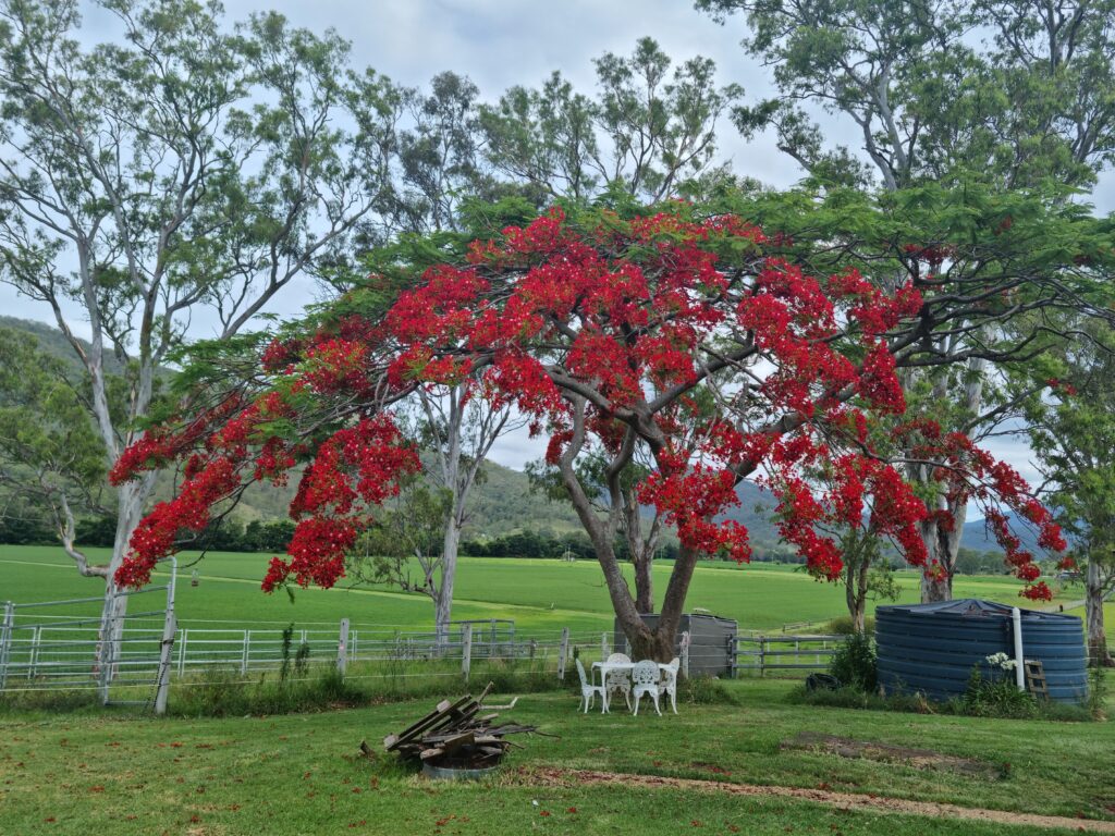 269 Mulgowie Road, Townson, QLD 4341
