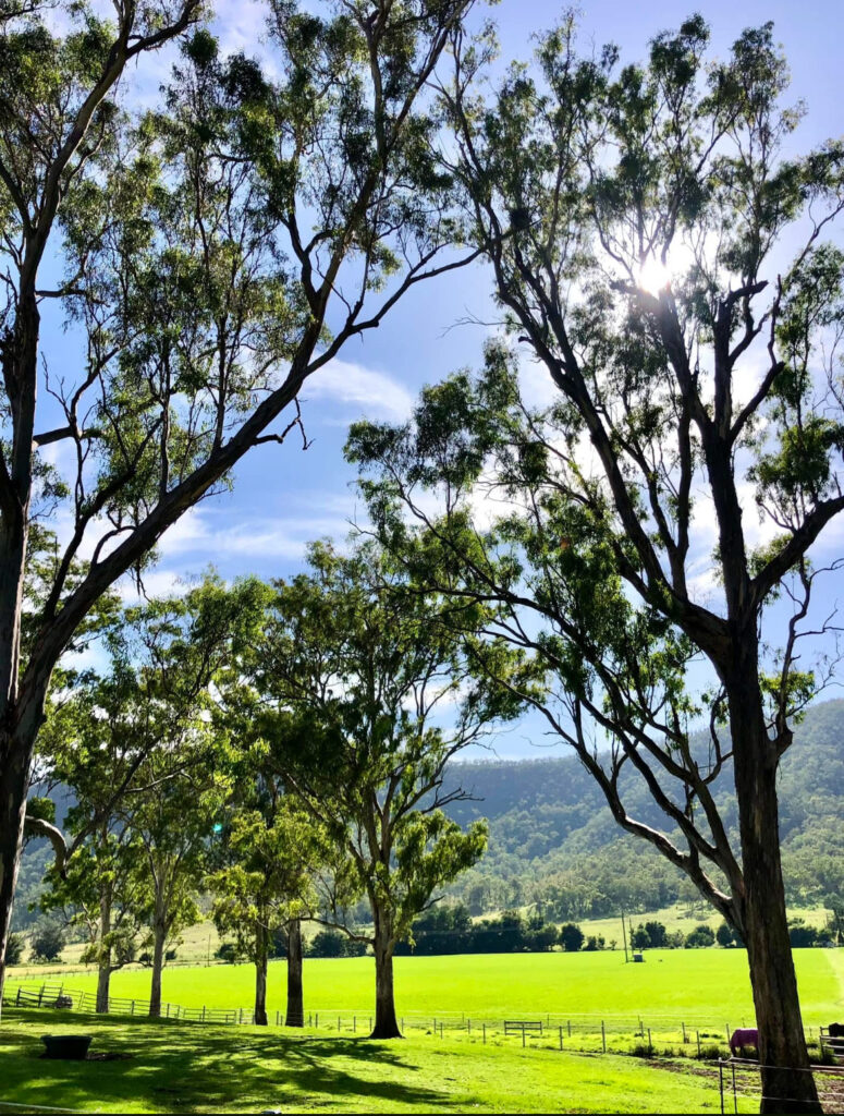 269 Mulgowie Road, Townson, QLD 4341
