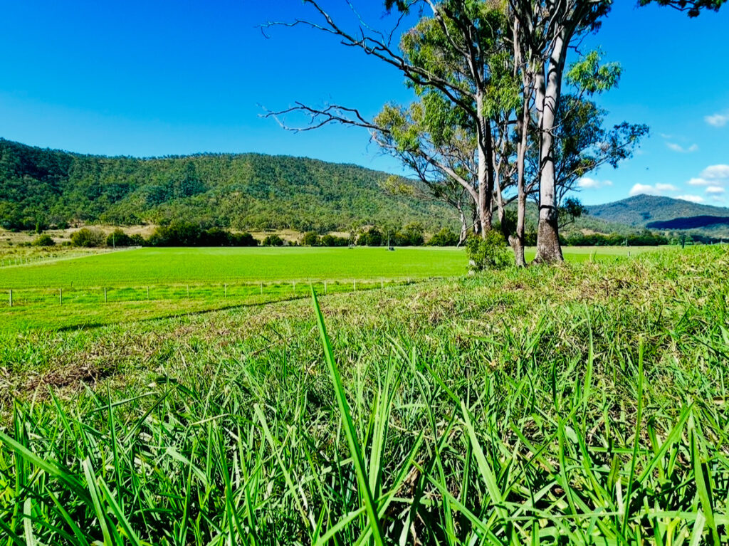 269 Mulgowie Road, Townson, QLD 4341
