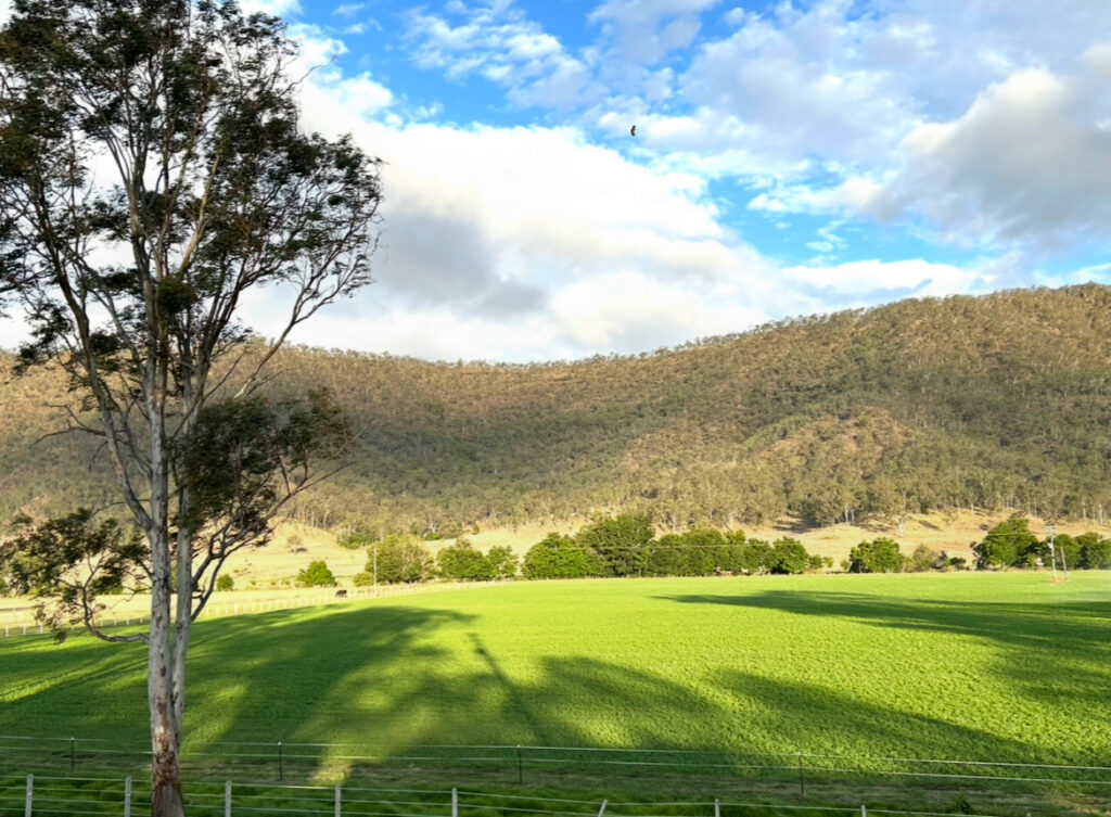 269 Mulgowie Road, Townson, QLD 4341