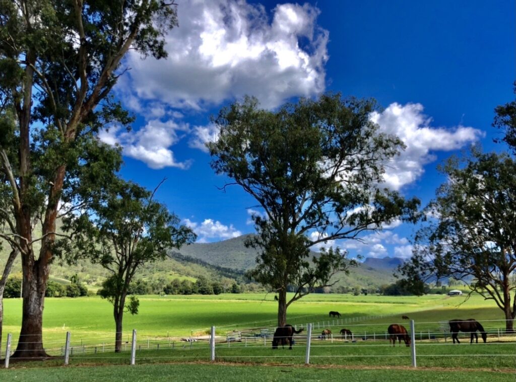 269 Mulgowie Road, Townson, QLD 4341