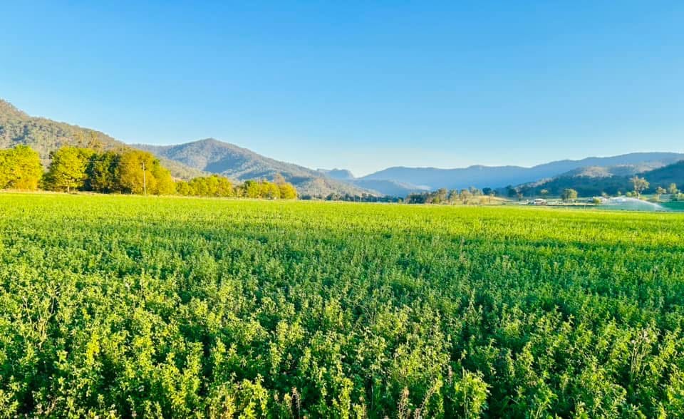 269 Mulgowie Road, Townson, QLD 4341