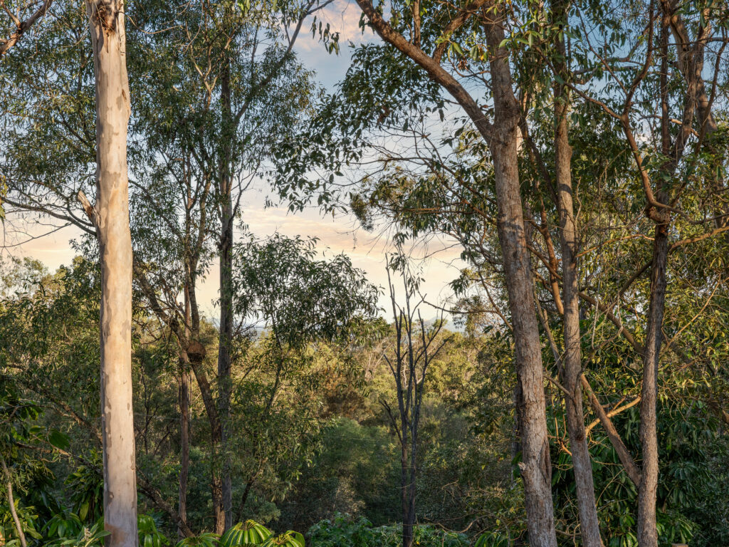 132 Blackwall Road, Chuwar, QLD 4306