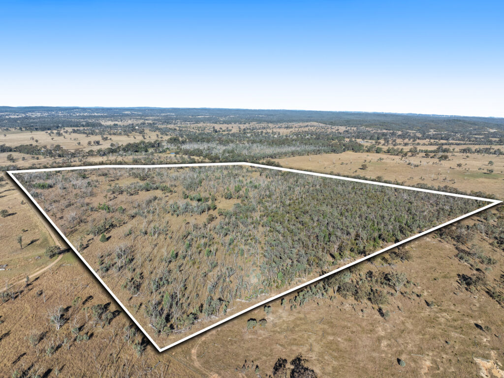 Lot 4 Toowoomba-Karara Road, Karara QLD 4352