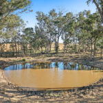 Lot 4 Toowoomba-Karara Road, Karara QLD 4352