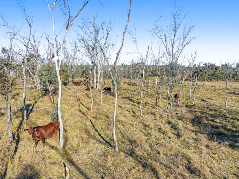 Lot 4 Toowoomba-Karara Road, Karara, QLD 4352 AUS