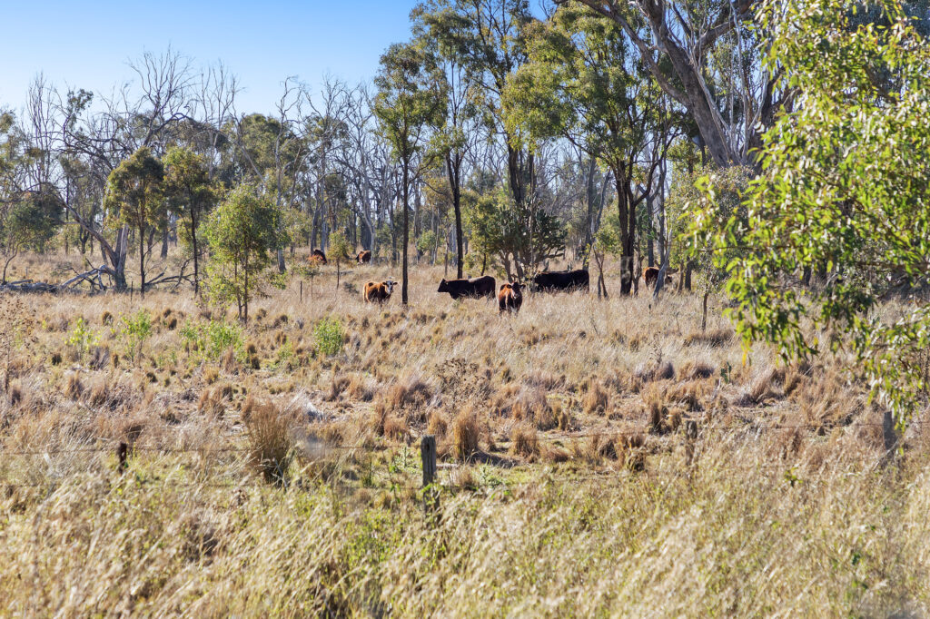 Lot 4 Toowoomba-Karara Road, Karara QLD 4352