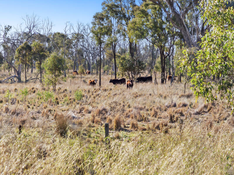 Lot 4 Toowoomba-Karara Road, Karara, QLD 4352 AUS