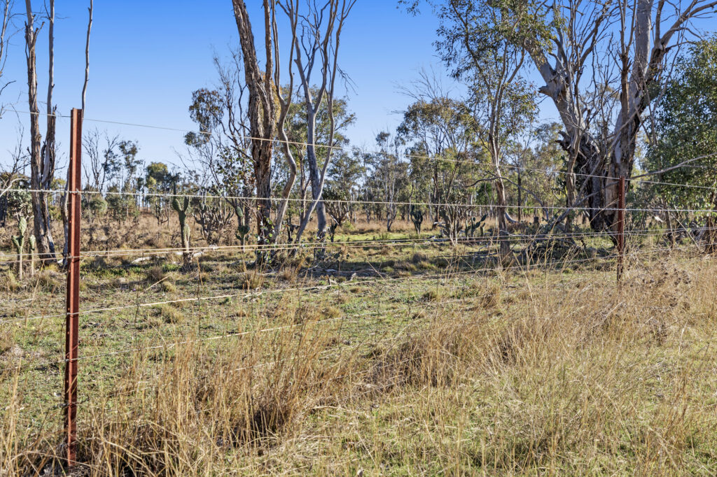 Lot 4 Toowoomba-Karara Road, Karara QLD 4352