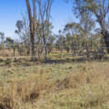Lot 4 Toowoomba-Karara Road, Karara, QLD 4352 AUS