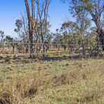 Lot 4 Toowoomba-Karara Road, Karara QLD 4352