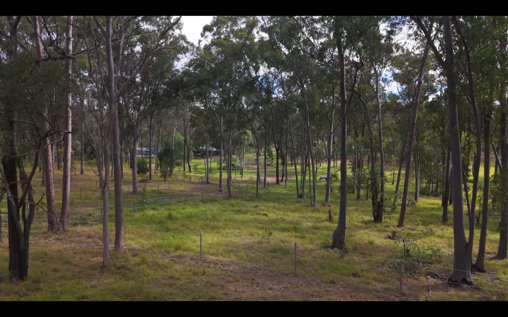 14 Laurette Drive, Glenore Grove, QLD 4342