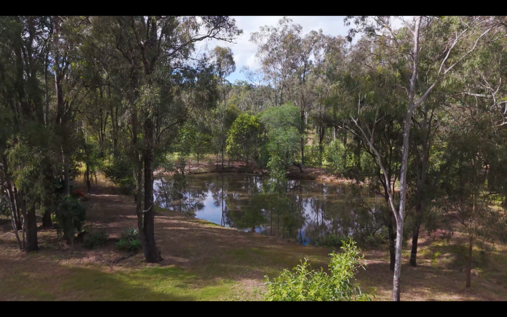 14 Laurette Drive, Glenore Grove, QLD 4342