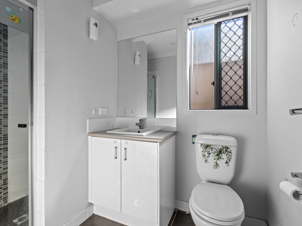 52 Magpie Crescent, Redbank Plains, QLD 4301