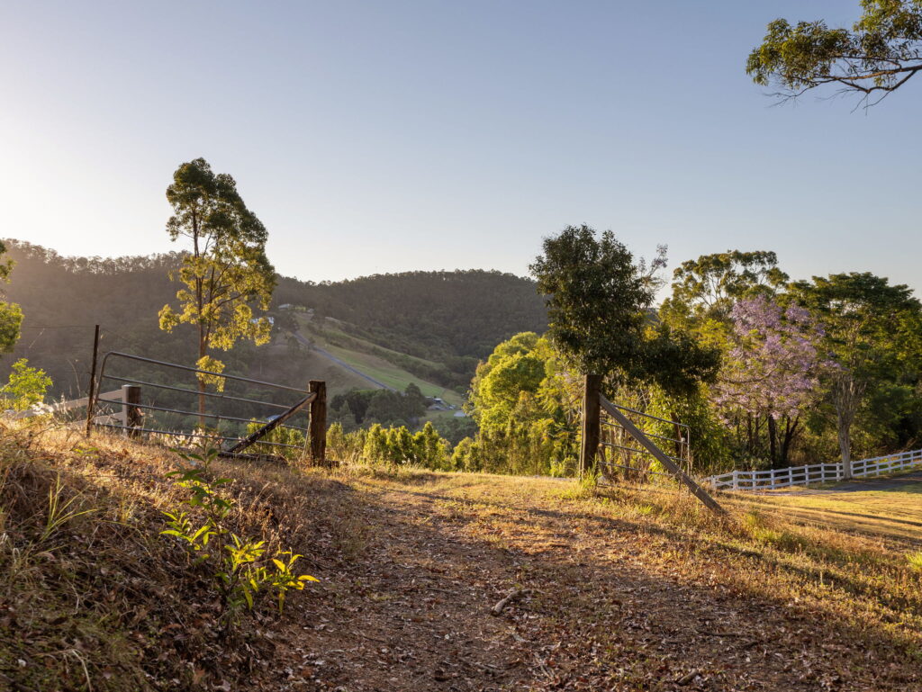 309 Ruffles Road, Willow Vale, QLD 4209