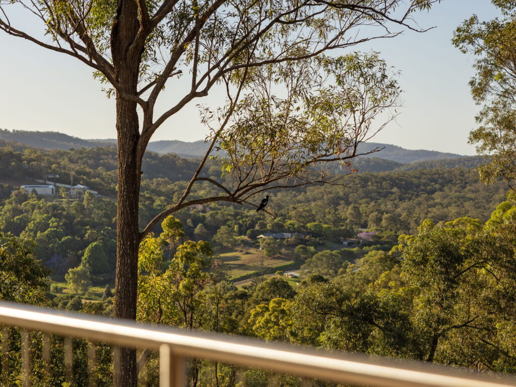 309 Ruffles Road, Willow Vale, QLD 4209