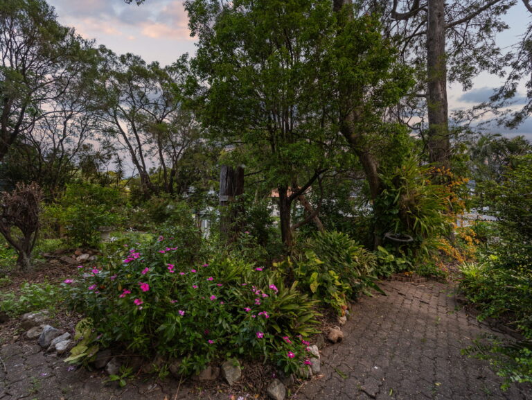 36 Edenvale Street, Oxley, QLD 4075