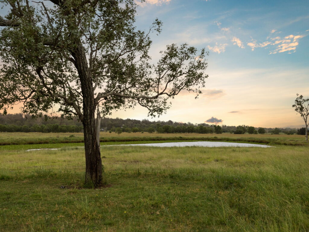 49 Woolshed Creek Road, Hatton Vale, QLD 4341