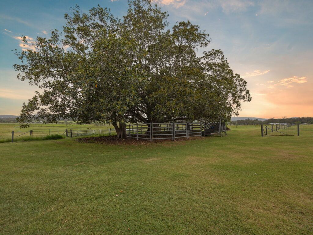 49 Woolshed Creek Road, Hatton Vale, QLD 4341