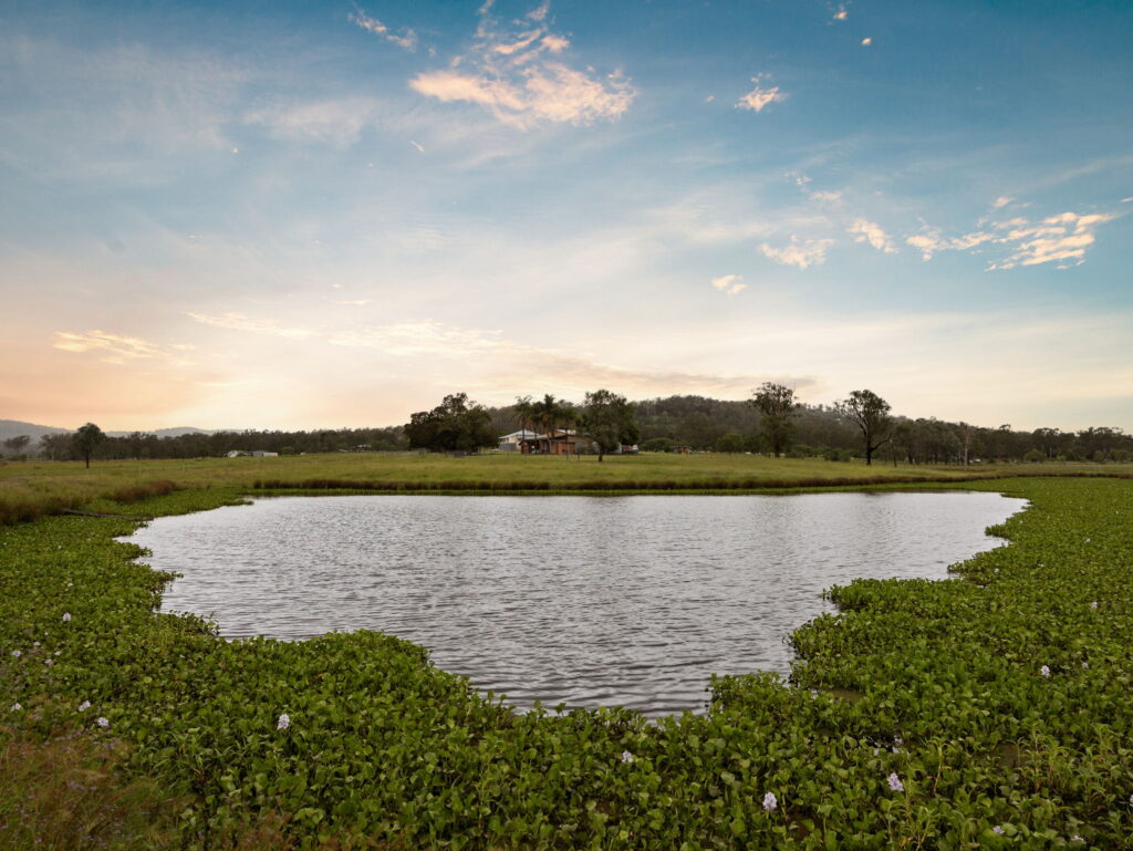 49 Woolshed Creek Road, Hatton Vale, QLD 4341