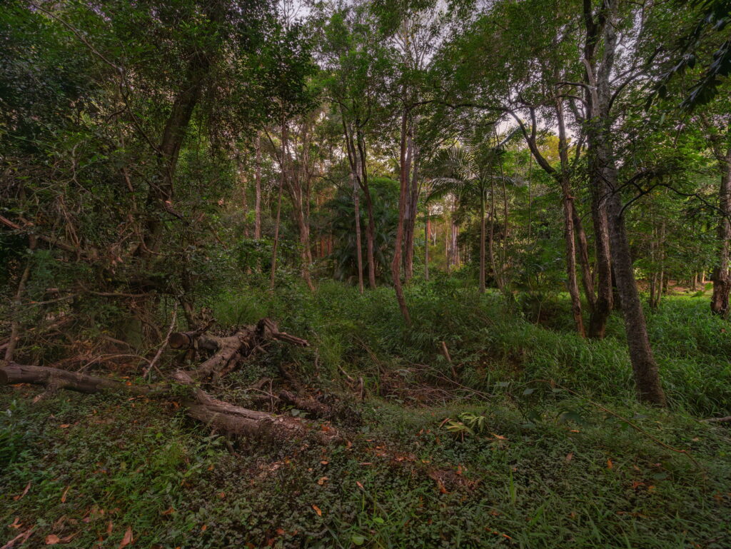 18-22 Callistemon Court, Greenbank, QLD 4124