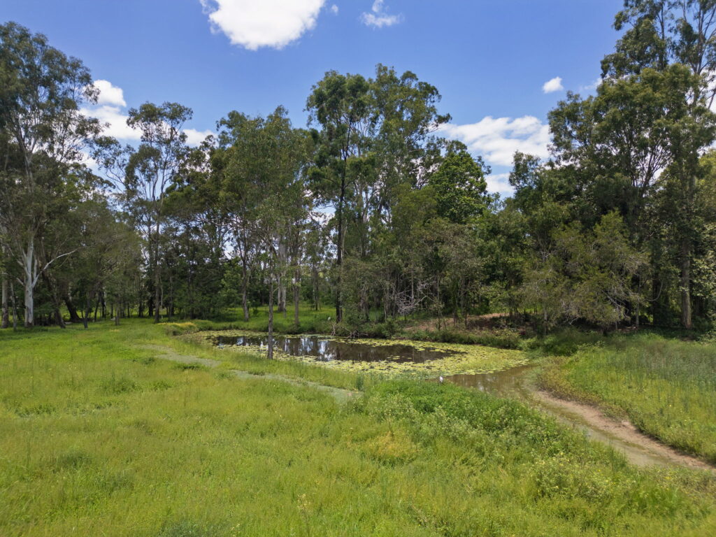 22 Campbell Court, Blacksoil, QLD 4306