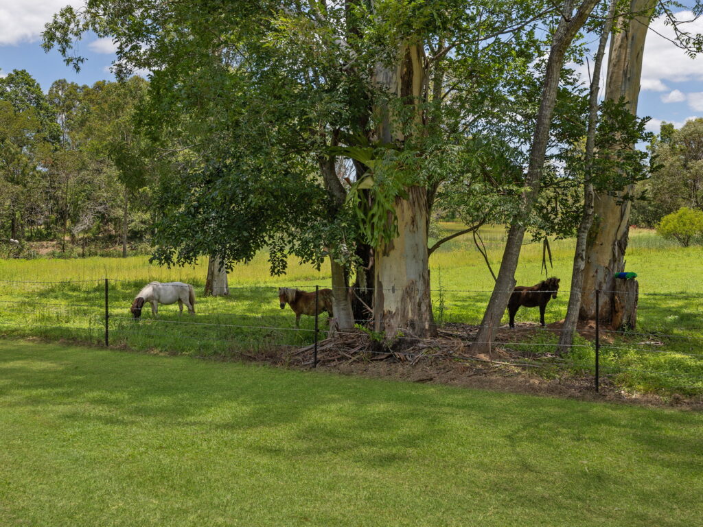 22 Campbell Court, Blacksoil, QLD 4306