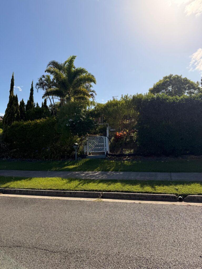 29 Reerden Street, Collingwood Park QLD 4301