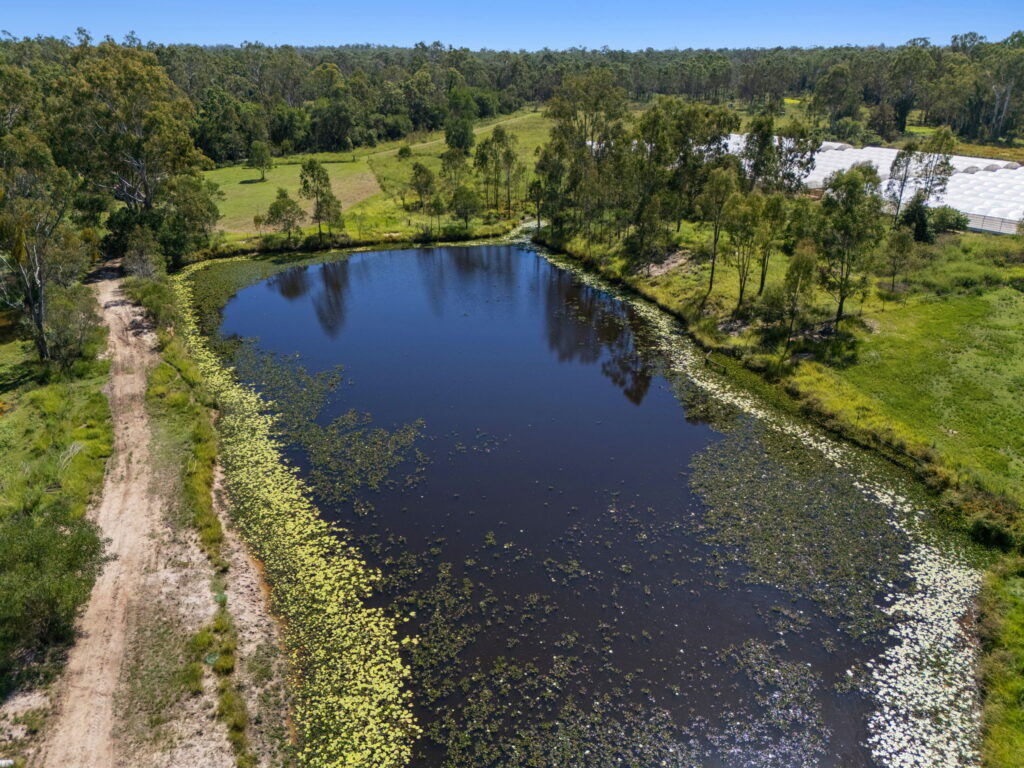 213-217 New Beith Road, Greenbank, QLD 4124
